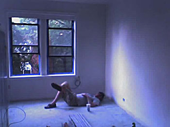 Living room primed, ceiling painted and Jamie pooped.